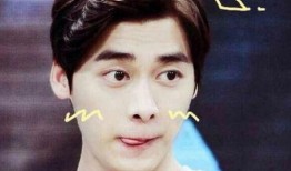 新闻爆料李易峰事件视频,真相与争议并存