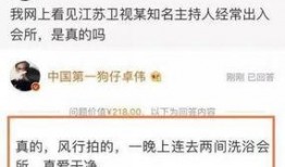 卓伟最新爆料孙俪后台,卓伟最新爆料揭秘