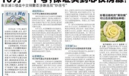 浦口楼盘爆料事件最新,揭秘背后真相与行业反思