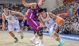 篮球爆料假球视频大全,假球视频大全深度剖析